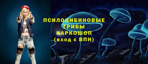 мдпв Дмитровск