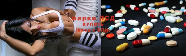 гидропоника Дмитриев