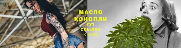 гидропоника Дмитриев