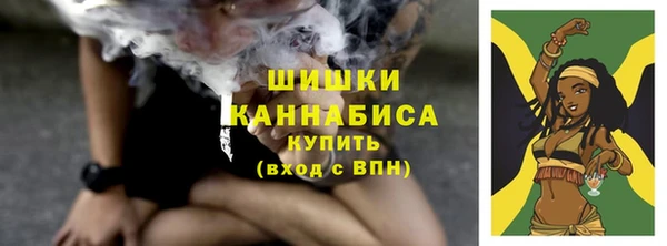 амф Дмитров