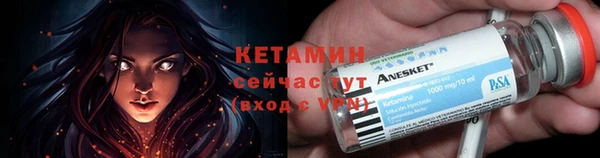 амф Дмитров
