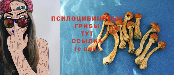 гидропоника Дмитриев