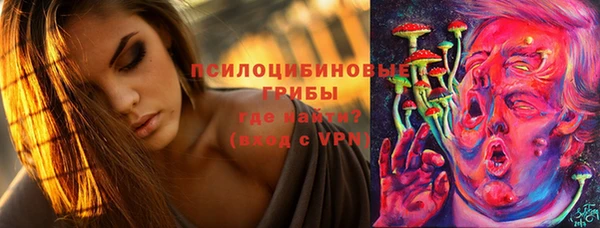 гидропоника Дмитриев