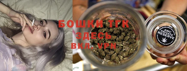 амф Дмитров