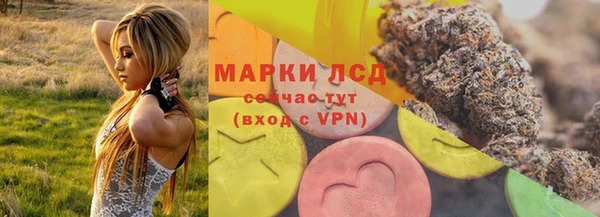 гидропоника Дмитриев