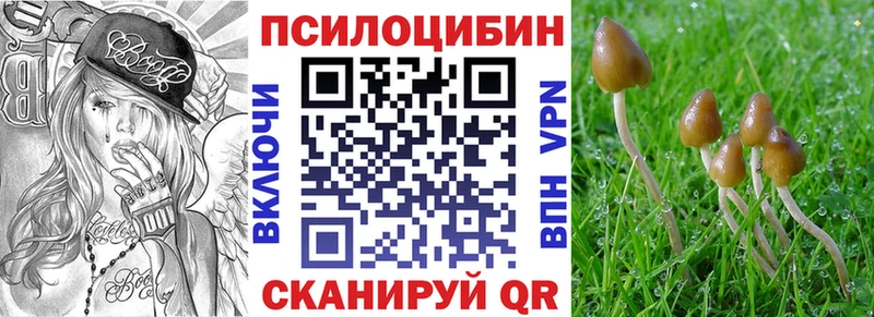 Галлюциногенные грибы мухоморы  купить наркотики сайты  Очёр 